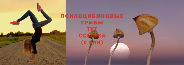 бутират Аркадак