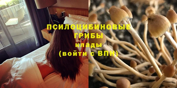кристаллы Алексеевка