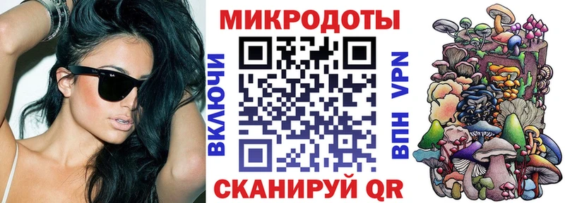 OMG как войти Курган Псилоцибиновые грибы мицелий
